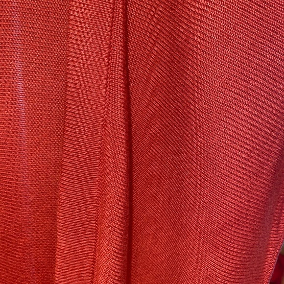 Rust Colored Open-Front Cardigan - Picture 4 of 4